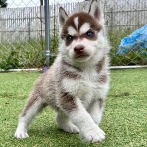 568036977_18288923215277294_8078761377261419875_n.