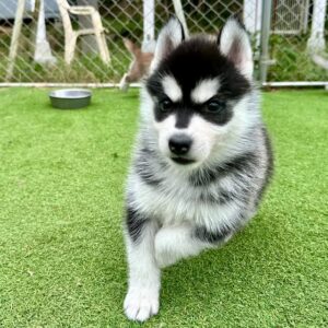 568079348_18288629650277294_426929034210114108_n.