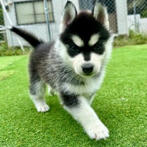 568660932_18288629611277294_8647142086271776292_n.