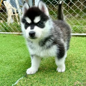 569100539_18288629593277294_7922804406330943774_n.