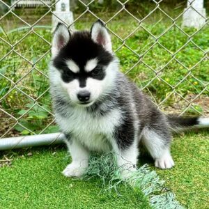 569390044_18288629602277294_62860460738153359_n.