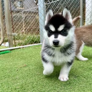 569506886_18288629659277294_7854917660224667457_n.