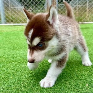 569544951_18288923224277294_937229064459539504_n.