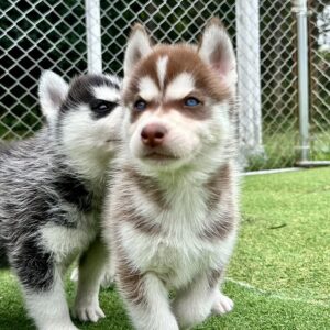 569576761_18288923206277294_619662296366820781_n.