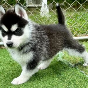 569576864_18288629620277294_6365744374302870259_n.