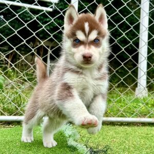 569666430_18288923188277294_3200362787979884306_n.