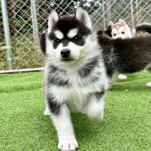 569699710_18288629641277294_7502513840168327640_n.