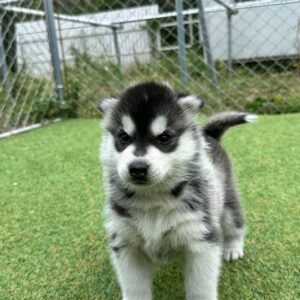 569861737_18288909037277294_4690464585897640454_n.