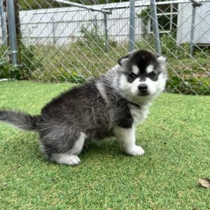 569890091_18288909019277294_6628464837910993591_n.