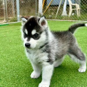 569974466_18288909028277294_4118650178767728096_n.