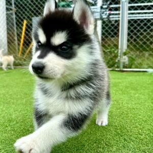 570602420_18288629632277294_2266963942925962295_n.