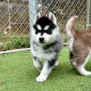 570938558_18288629668277294_4395404576267386324_n.