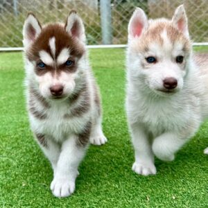 571122903_18288923254277294_4495055103146655359_n.