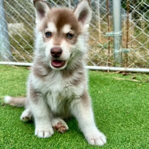 571466816_18289352992277294_5479898474252522137_n.