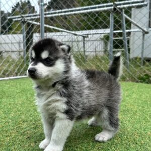 571515893_18288909064277294_5074853338411722900_n.