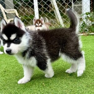 571574054_18288629677277294_3184892034791217138_n.