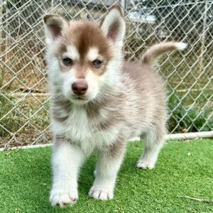 571816230_18289353001277294_6111122245146390957_n.