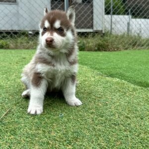 572552418_18289353043277294_258358904314850441_n.