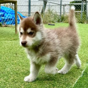 572778660_18289353010277294_719723038952378900_n.