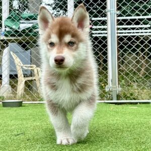 575725706_18291167092277294_2871468568861229218_n.