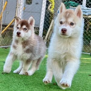 576007424_18291136366277294_8490953517652060260_n.