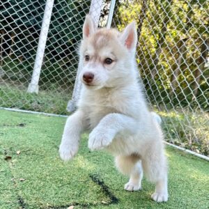 576014277_18291136402277294_132460959591652624_n.