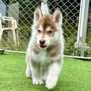 576037243_18291167074277294_8571590665654687956_n.