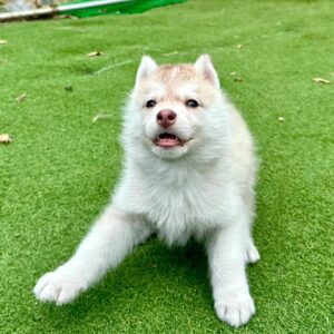 576079302_18291136321277294_1686846460849809242_n.