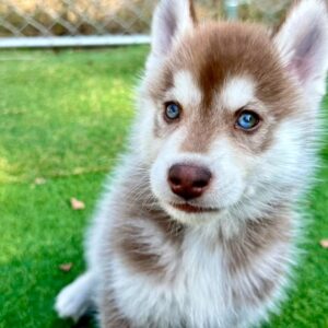 576136737_18291167131277294_5778021309725842724_n.