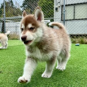 576527292_18291167065277294_7644655946445855757_n.