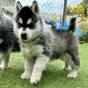 576530686_18291468982277294_5368096436334002275_n.