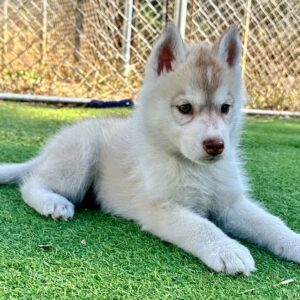 576533012_18291136393277294_1035711232545358453_n.