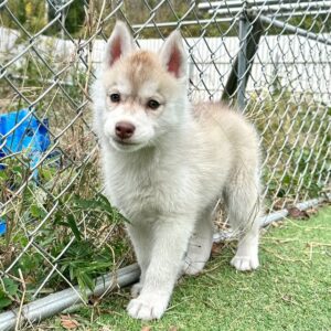 579438936_18291136420277294_3895915602722763731_n.