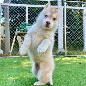 579508905_18291136411277294_4180863845402121415_n.