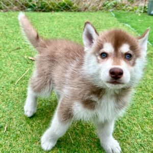 579692228_18291167044277294_1320641319820458293_n.