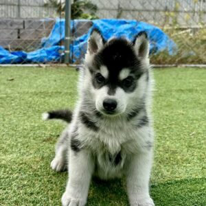 579692404_18291469000277294_7192575781816601856_n.