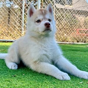 579696512_18291136384277294_4296799880990816076_n.