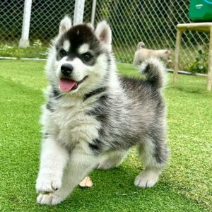 579696865_18291468937277294_941867267681370350_n.