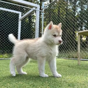 579697014_18291136345277294_3521337759928101779_n.