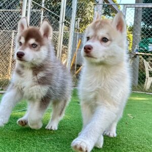 579698998_18291136375277294_349322953336664944_n.