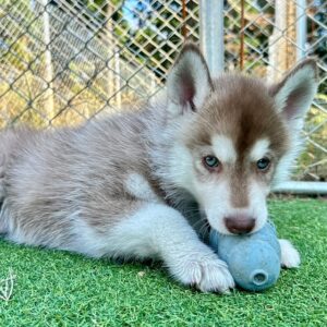 580048822_18291167122277294_2866472221727241715_n.