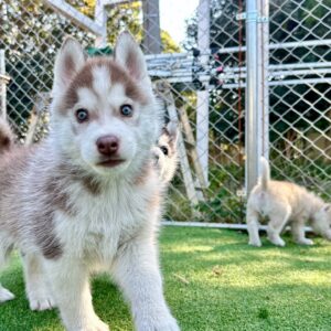 580052399_18291555658277294_3452105066352977908_n.