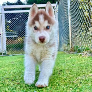 580064329_18291555625277294_1839776062049831172_n.