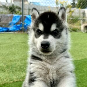 580343690_18291468991277294_8347335147599157268_n.