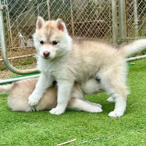 580478410_18291136333277294_5671245166765775593_n.