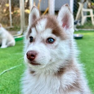 580481758_18291555697277294_3987503882077830445_n.