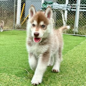 580573540_18291167056277294_6490644030202340371_n.