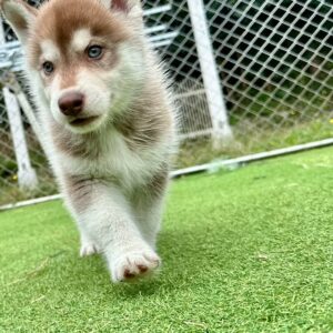 580708971_18291167110277294_8708516193970109931_n.