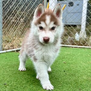 580916871_18291555730277294_4338200428415978403_n.