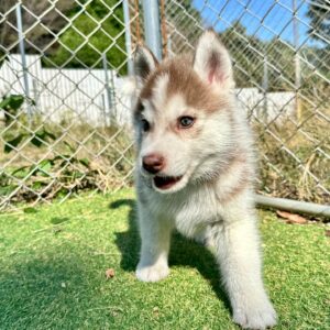 581186342_18291555721277294_5755250038044439447_n.